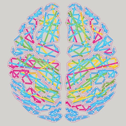 Exploring the basis of decision making and impulse control at a neural, neurochemical and molecular level. Makers of quality rat casinos.