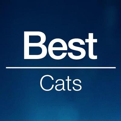 Join the .BEST community. Connect & network with other VIP Cat Lovers. Purchase your .BEST domain at http://t.co/7AJVZhpVmJ