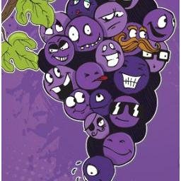 GrapeNames's profile picture. Grapes Name App