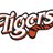 WightlinkTiger's profile image