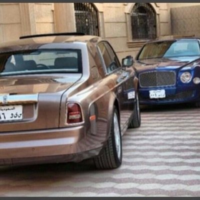 ماجستير في الفن  و كاتب ورجل أعمال في العقار