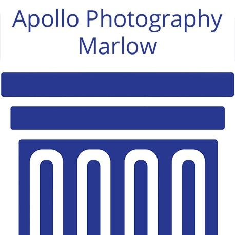 ApolloMarlow Profile Picture