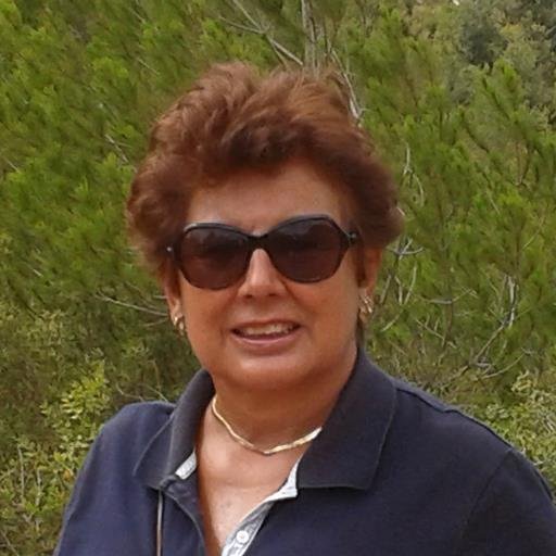 mdcastella's profile picture. 