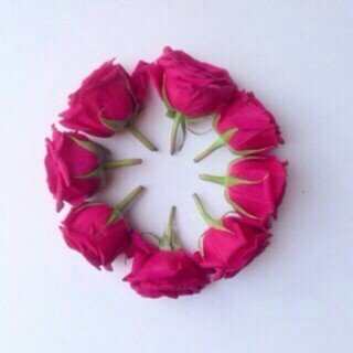 ‏‏‏‏‏‏‏‏‏‏‏‏‏‏‏‏مبتغاي الجنه ورضى ربي ووالداي،اسعى لترك اثراً جميلاً لكل شخص قابلته في حياتي ،الهي لاتقبض روحي الا وانت راضي عني وسخر لي من يدعو لي بعد موتي 💜
