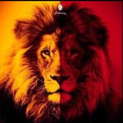 SARILIN BAŞKA GALATASARAY YOK