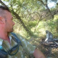 Derek Murphy (@vervetundergrnd) 's Twitter Profile Photo