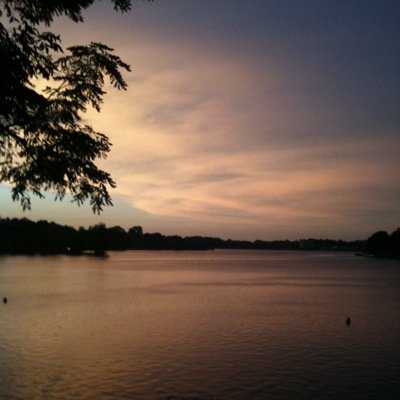 hoggjaws's profile picture. 