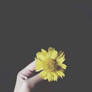 ٱسستغفر ٱللهہ وااتوب ٱلييهہ ♡♡