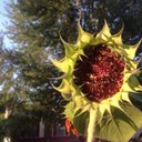 Beth Friday - @gbfriday87 - Twitter