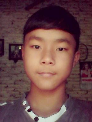 optimis_single simple
