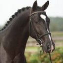 Steven Aguiar - @StemagsS - Twitter