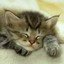 Стоматолог  # по жизни  иногда люблю:Катание на санках из надувного круга ,   Общение в Интернете - Бодиарт  -