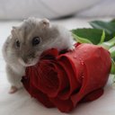 Casey Ong - @OngCasey - Twitter