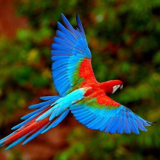 I AM INNOVATIVE AND PRAGMATIC, OPEN HEARTED,LOVE TO HELP OTHERS IN NEED, ENERGETIC, I LOVE PERSON WHO IS OPEN MINDED, WANT TO BECOME AN INSPIRATION FOR ALL AGES