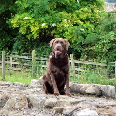 aaronnaisbitt1's profile picture. 