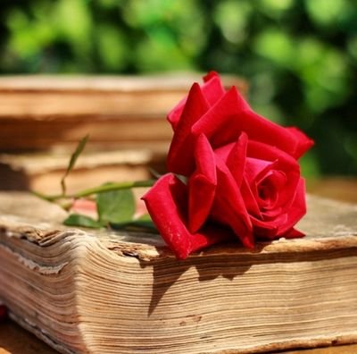 Al_ghamdi0000's profile picture. ‏يحدث ؛ أن يكون الكثير بِ جوارك ، وَ ترحل بك الذاكرھہُ إلى مكان آخر ولا تشعر بهم