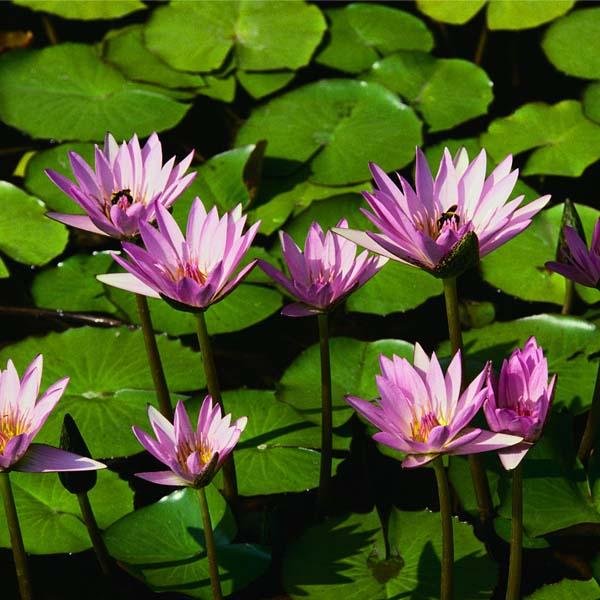 ezgi12315's profile picture. 