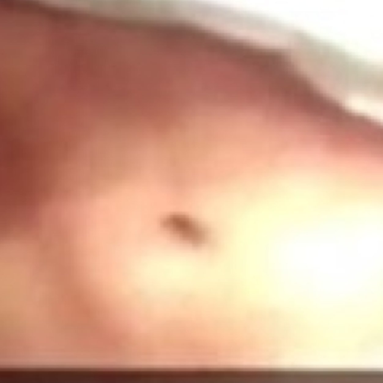 Potato Potato Ching Chong Tomato