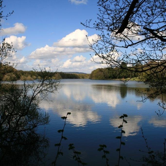 A Craft Cider Company in the heart of beautiful surrey,making cider from bitter sweet apples,
contact us at surreycider@yahoo.com for sales details