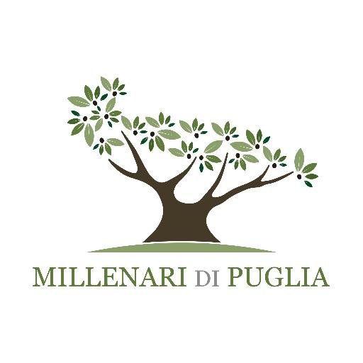 Il modo più bello di conoscere le bellezze naturali e culturali più interessanti e spesso meno conosciute della Valle d'Itria e del Salento.
