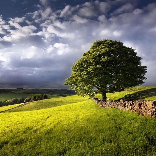 この目でみたい美しい風景 on Twitter