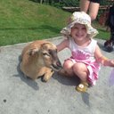 lorraine hilton - @rainehil - Twitter