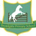 Broadgate Primary School (@broadgateps) Twitter profile photo Broadgate Primary School (@broadgateps) Twitter profile photo