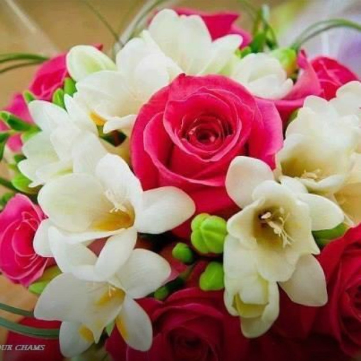 haneedmahdi's profile picture. 