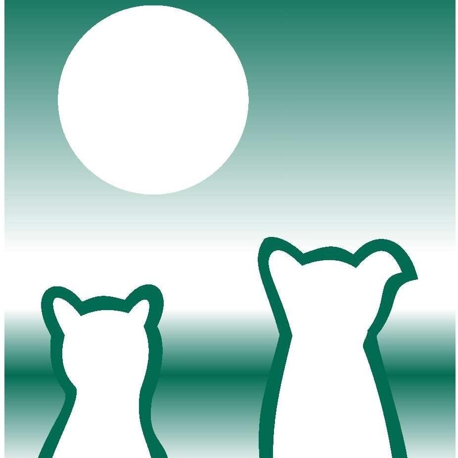 DispensariVet's profile picture. Dispensari Veterinari del Vallès. Hospital 24 hores, clíniques, perruqueries, botigues. Rubí, Sant Cugat, Barcelona, Cerdanyola, Barberà i Montcada i Reixach.