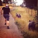 Joshua Smith - @chefjoshuasmith - Twitter