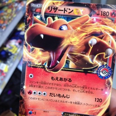 返事がない場合は電池切れか寝てるか仕事中。ヒトカゲとリザードとリザードンを愛しまくってるヘタレイヤー。