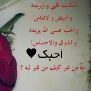 الحب الذي يحمله قلبك ,يجعلني اسأل نفسي كل يوم مَا الذي فعلته حتى تكون هديتي من الله انت ؟