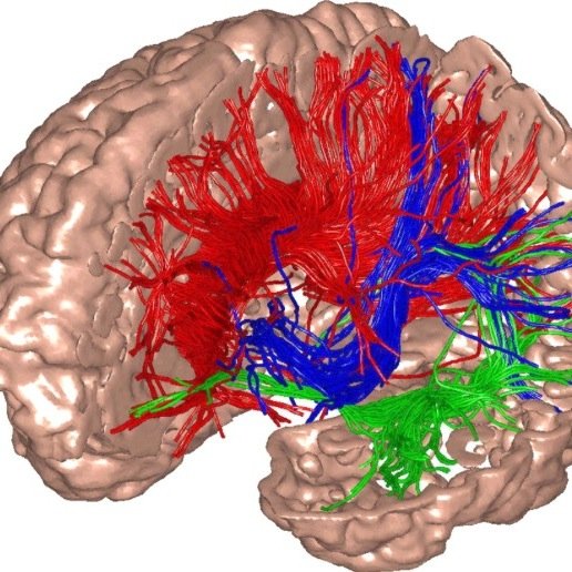 TC_papers's profile picture. Pubmed twitterbot: arealization OR patterning OR somatosensory OR thalamus OR thalamocortical OR cortical development