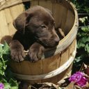 Bea Austin - @2Beazz - Twitter