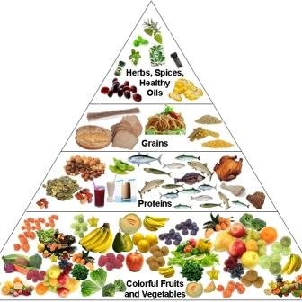 Nutrition Data