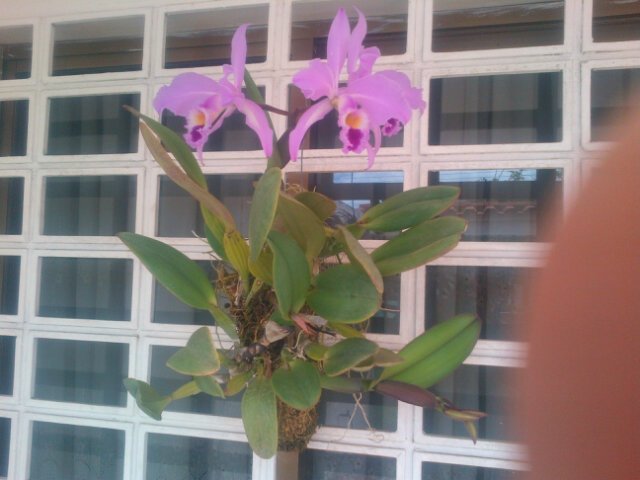 armenia54's profile picture. La vida es hermosa