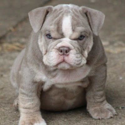 KiuNakase's profile picture. Técnico superior de sonido. Gran bebedor y mejor comedor. Amante del Fútbol levantino. Y la NFL.