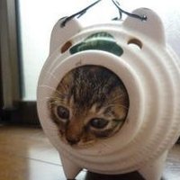 黄金の月 (@strikedog) 's Twitter Profile