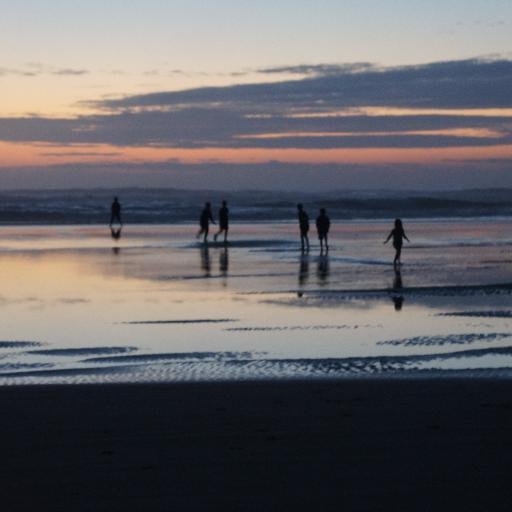 jeffreyayoung's profile picture. 