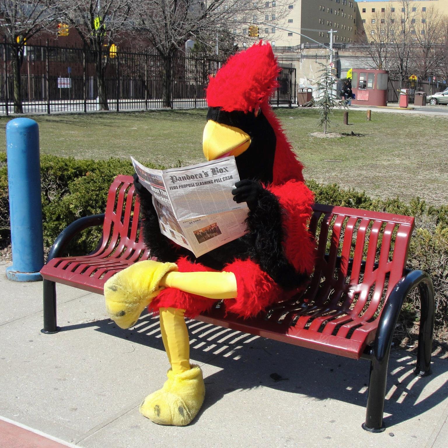 looking 4 a full time job If u noe sum1 let me noe ;-)  Experience: flying, eating insects & shaking my tail feather... I like comedy :) No srsly need a job lol