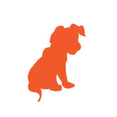 Creative Manager at Edmentum. Owner of anderpup Design.