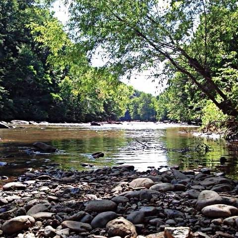 Waterlockn's profile picture. Swimming Hole Trips @locknfestival

Waterlockntrinity@gmail.com