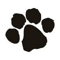 Timber Trace (@timbertrace411) 's Twitter Profile