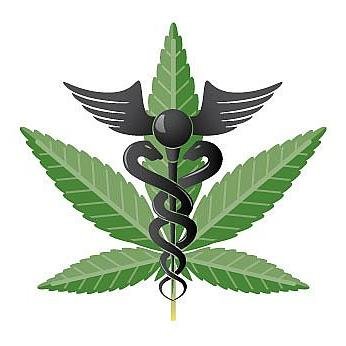 We are a non profit fighting for medical marijuana patients across the nation #medicalmarijuana