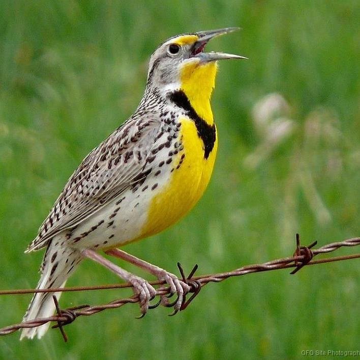 dr00pl00's profile picture. Food clothes medicine, because hungry naked sick sucks.Food clothes medicine, because hungry naked sick sucks.