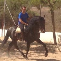 Jose Lizan (T14) (@joselizan289) 's Twitter Profile