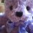 Yolandaba66's profile image