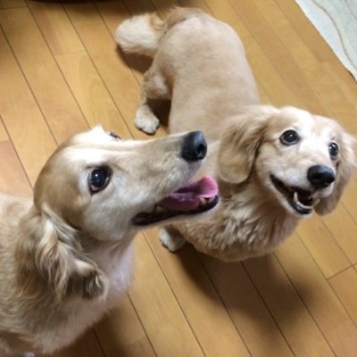 フォローは名前と顔がわかる人にさせて頂いてますので、申し訳ありませんがお声よろしくお願いします。