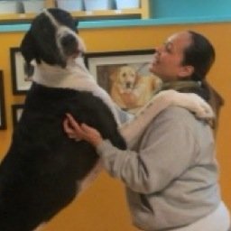Dog Daycare & Boarding