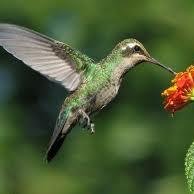 marielact880's profile picture. 